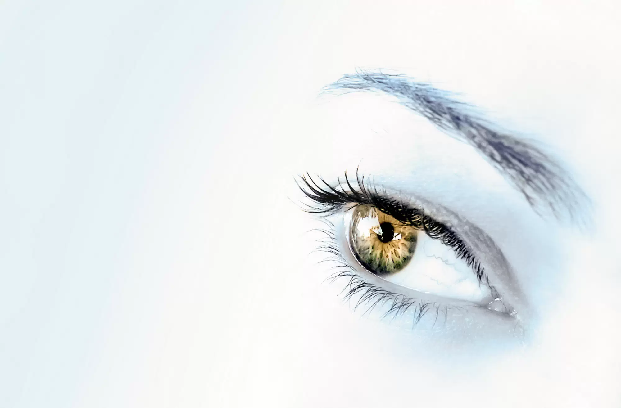 Associated Retina Specialistd of-New York 